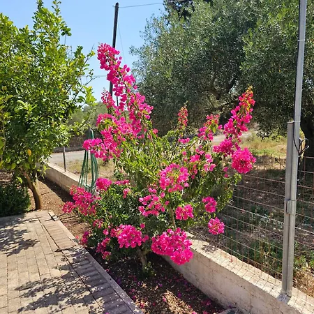 Natura Apartman *